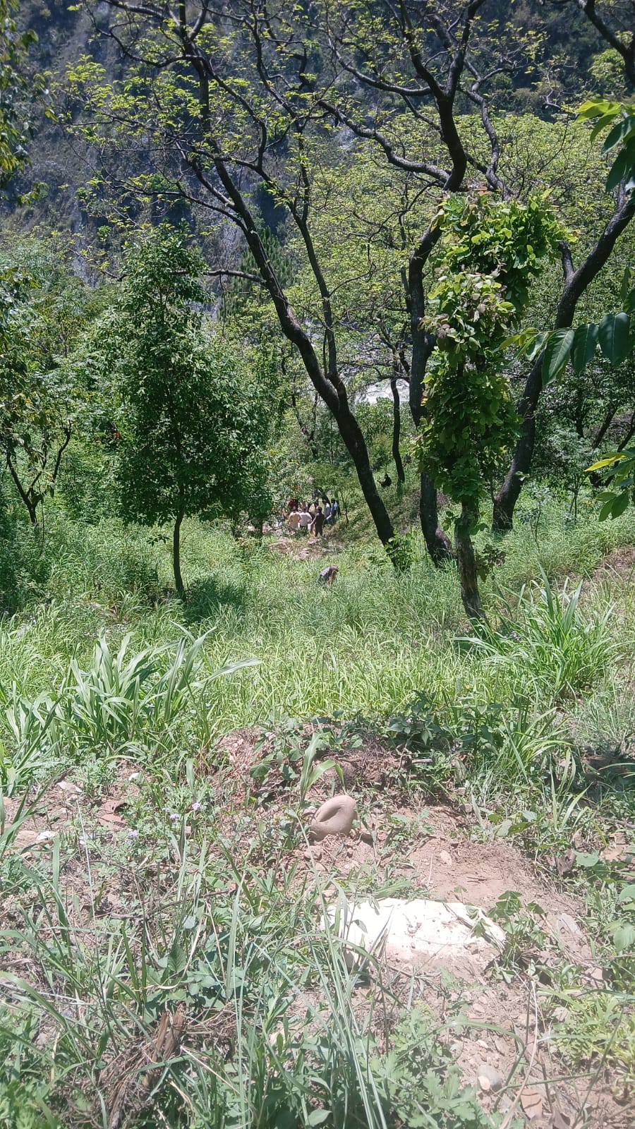 उत्तरकाशी चिन्यालीसौड तहसील के महरगॉव /चमियारी रोड पर एक बड़ा हादसा  कार दुर्घटनामें एक महिला की मौत