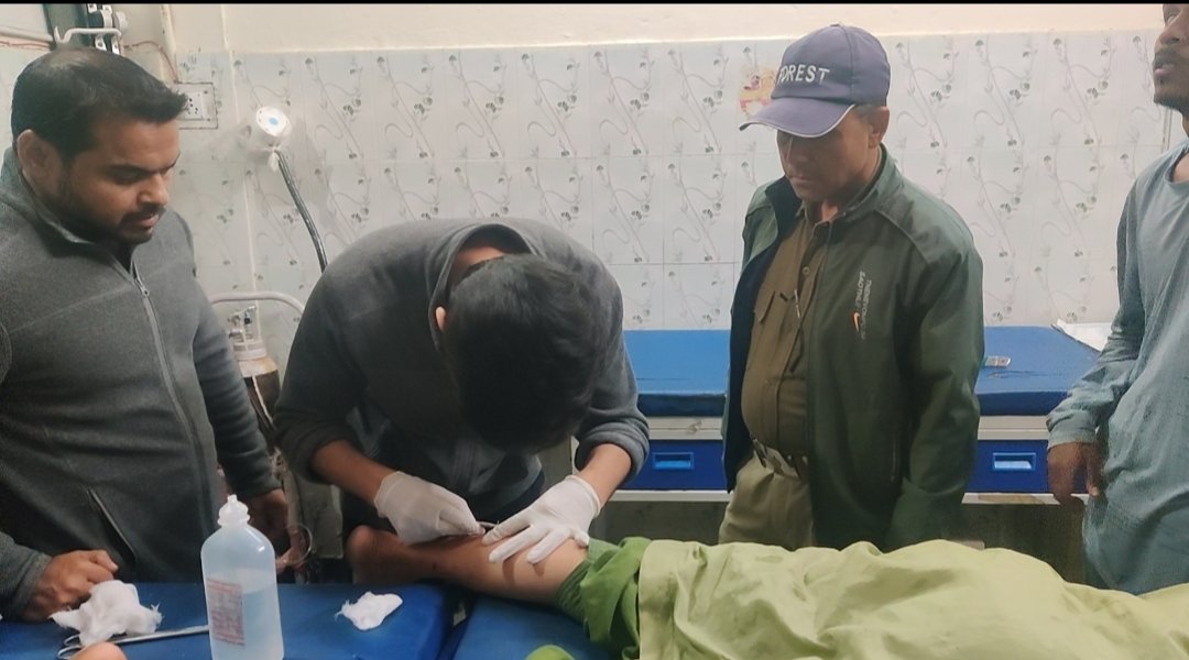 डुण्डा खटूखाल में गुलदार का आतंक: दो महीनों में तीन  महिला पुरुष पर हमले, आखिर कब जागेगा शासन-प्रशासन?